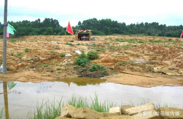 红海湾石牌村荒芜土地2.png